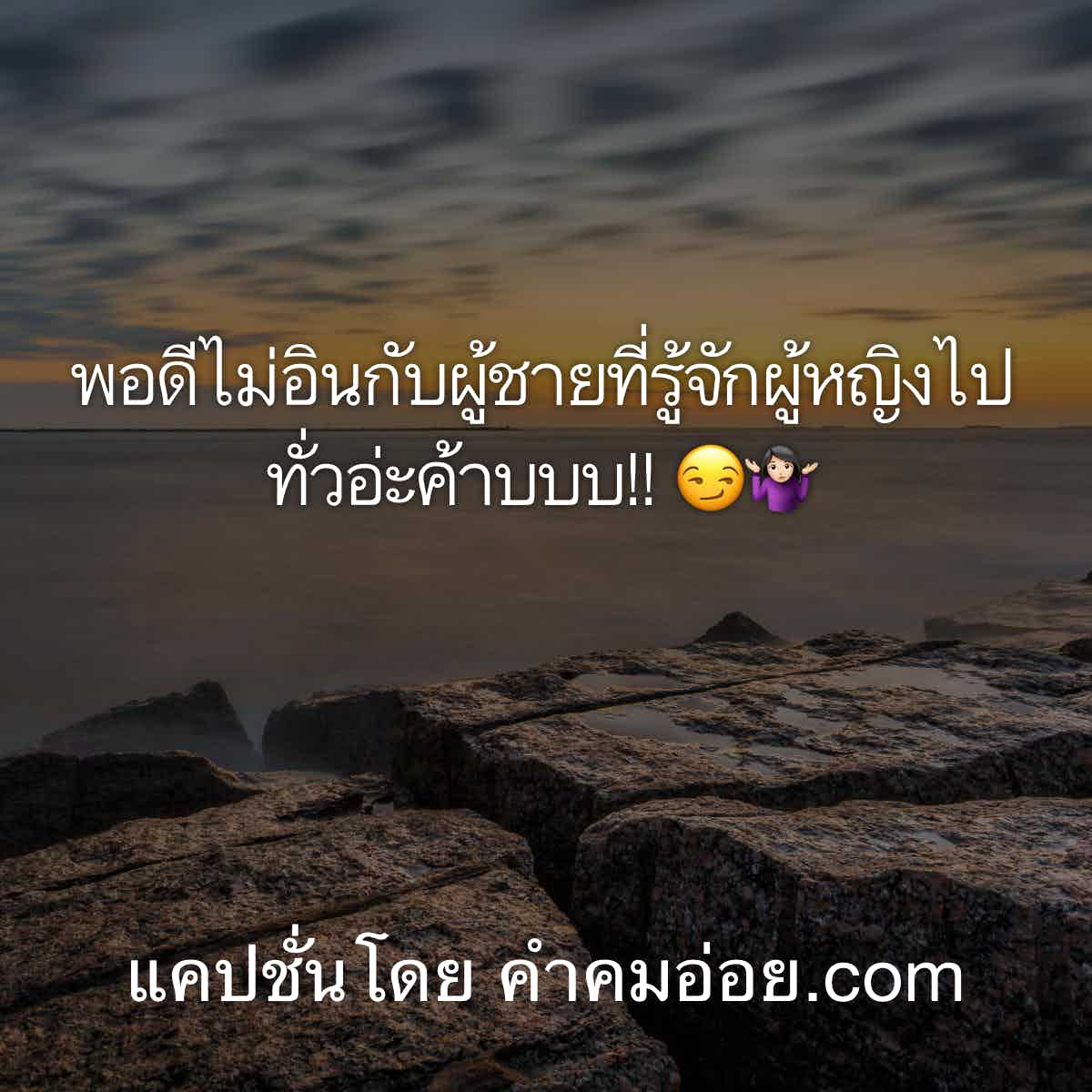 86 แคปชั่นกวนตีน คำคม ผ ช มี หนวด